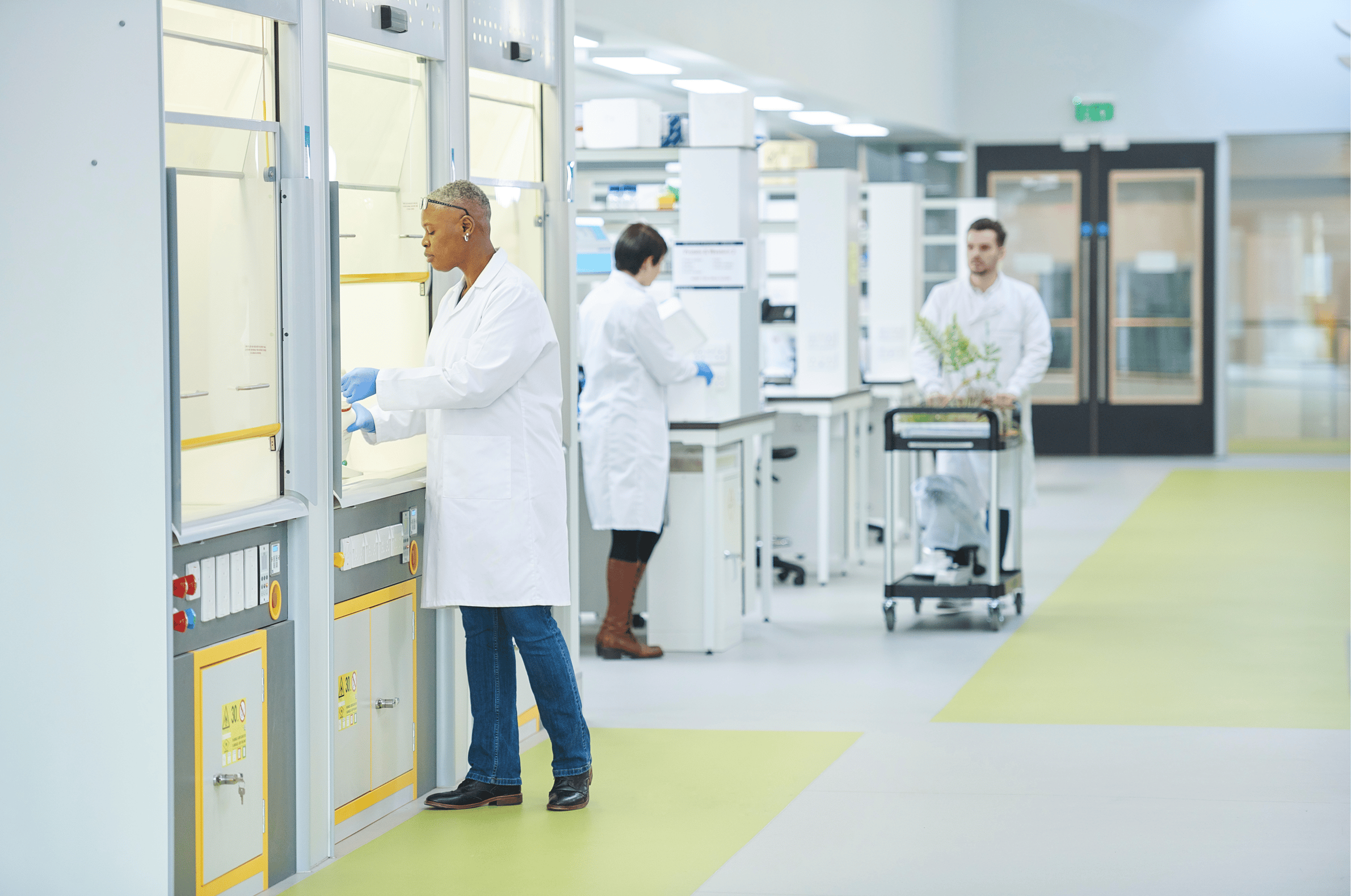 Case study Phoremost